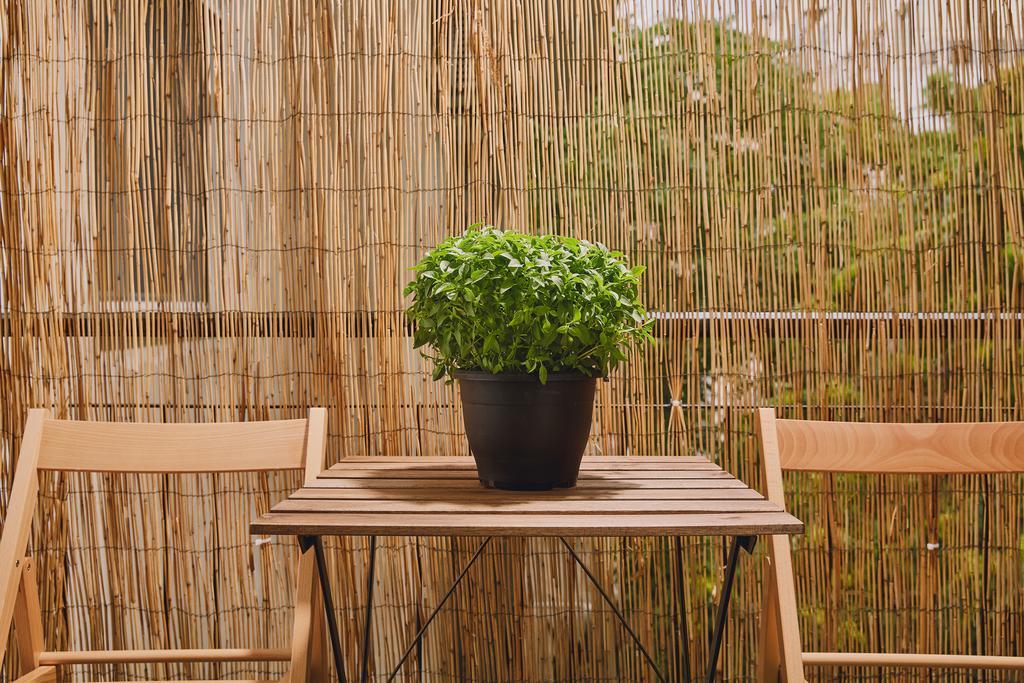 Modern And Cozy In The Centre Of Athènes